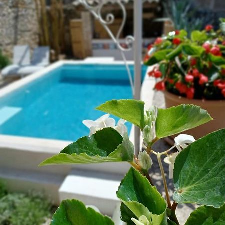 Bed and Breakfast Chez Les Filles Dions Exterior foto